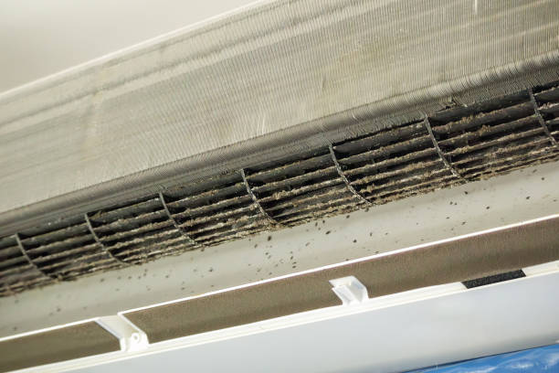 Best Air Quality Test  in East Dennis, MA